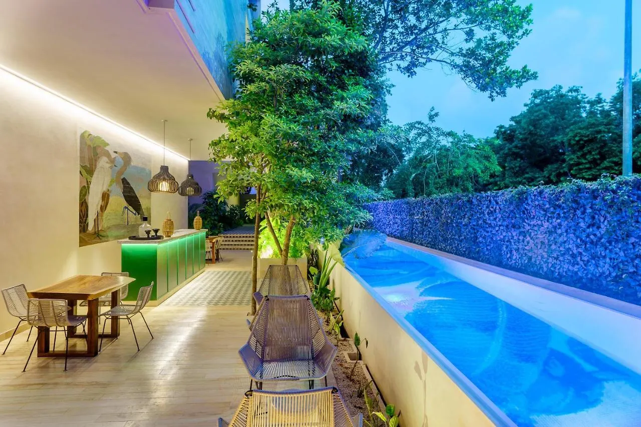 Private Pool Apartment For Groups Tulum