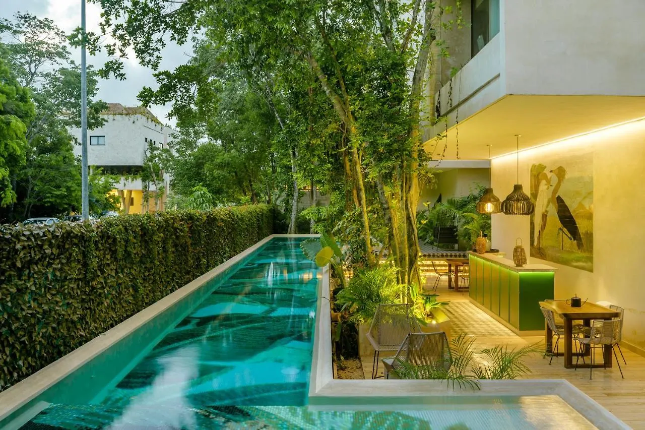 Private Pool Apartment For Groups Tulum